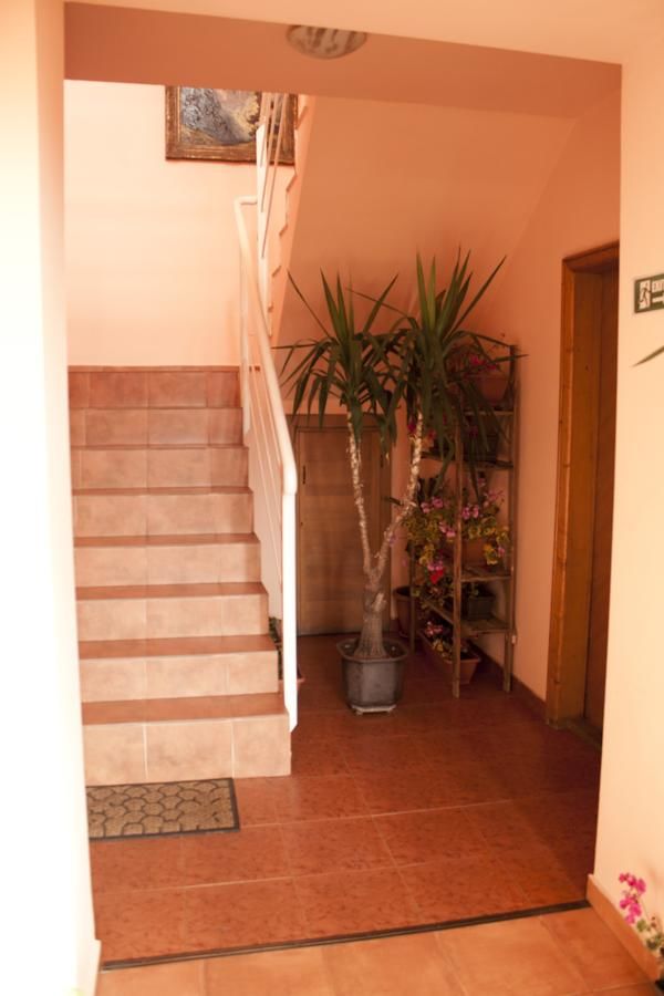 Гостевой дом Pensiunea Vlad Home Тимишоара-18