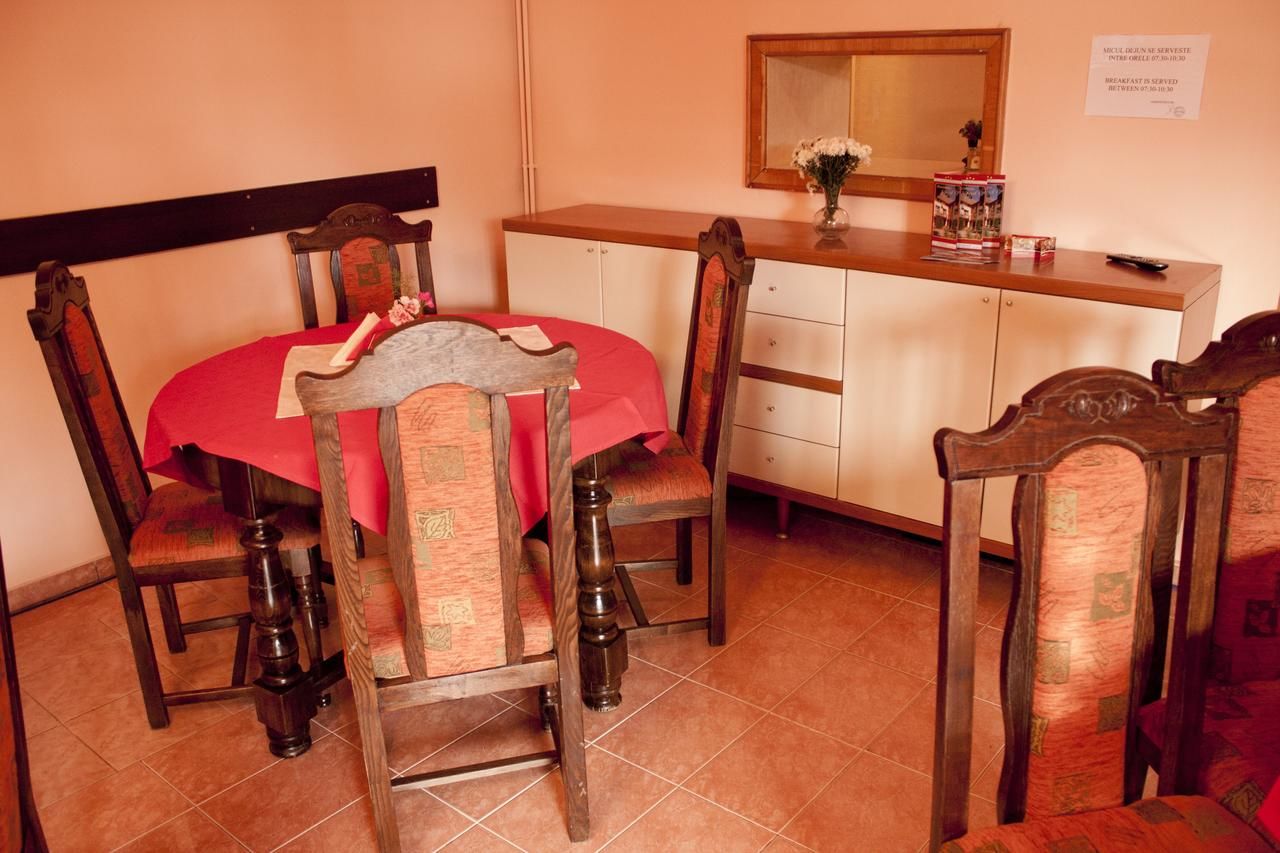 Гостевой дом Pensiunea Vlad Home Тимишоара-23