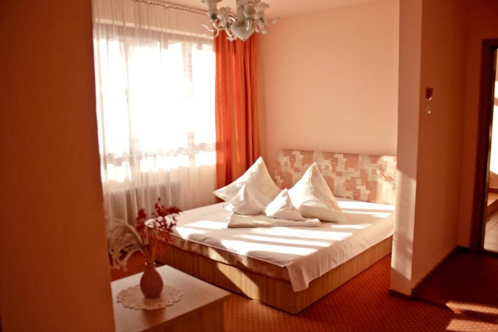 Гостевой дом Pensiunea Vlad Home Тимишоара-32