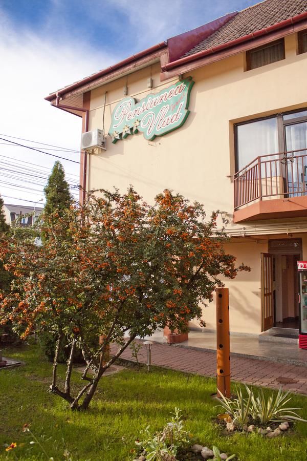 Гостевой дом Pensiunea Vlad Home Тимишоара-7