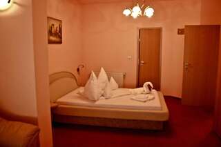 Гостевой дом Pensiunea Vlad Home Тимишоара Двухместный номер с 1 кроватью или 2 отдельными кроватями-2